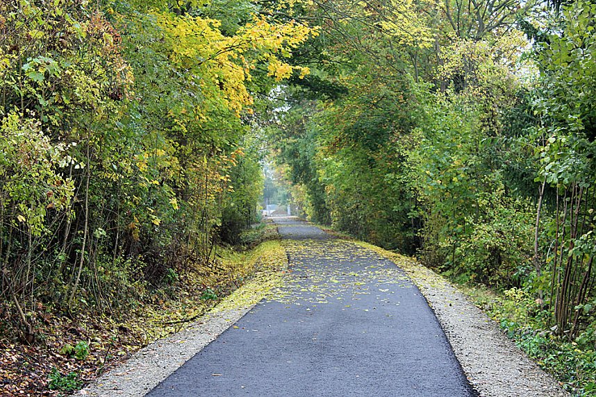 Auf Rundgang durch die Stadt