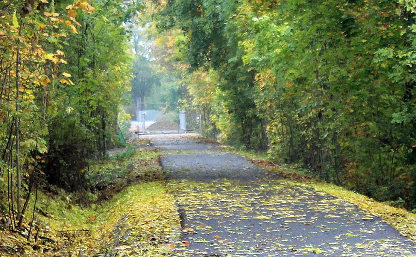Auf Rundgang durch die Stadt