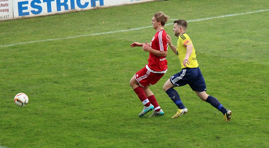 Starke G&auml;ste auf dem G&ouml;ldner von Sondershausen
