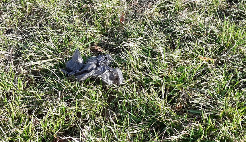 Es ist schon erstaunlich was da so alles entlang der Wipper in Sondershausen abgeladen wird. Dabei hat kn wieder einige frische und alte Entdeckungen gemacht�  ###pic### Hier wurden mal wieder in einem M&uuml;llsack offensichtlich alte Pflanzgef&auml;&szlig;e entsorgt. So weit ja noch ganz gut.  ###pic### Muss man aber seine M&uuml;llt&uuml;ten unbedingt auf dem Wipperdamm nahe der Kiesgrube ablegen. Wer macht sich die M&uuml;h