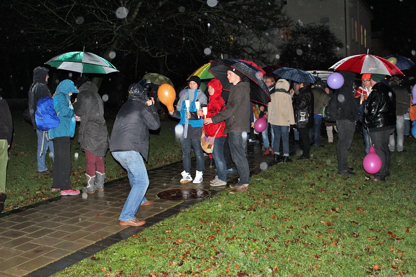 Demonstration und Gegendemonstration (2)