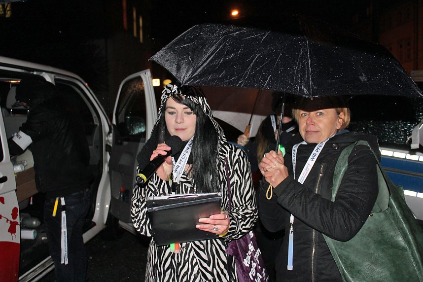 Demonstration und Gegendemonstration (2)