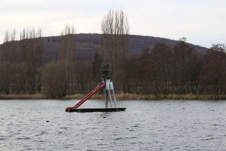 Weihnachtstauchen am Bebraer Teich