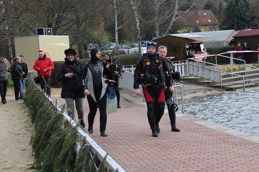 Weihnachtstauchen am Bebraer Teich