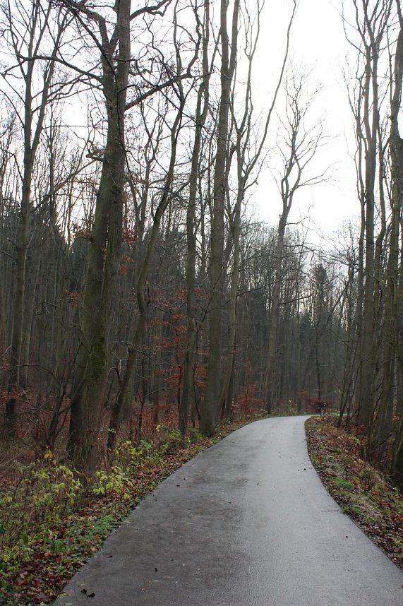 Verkehrssicherungspflicht mit Augenma&szlig;?