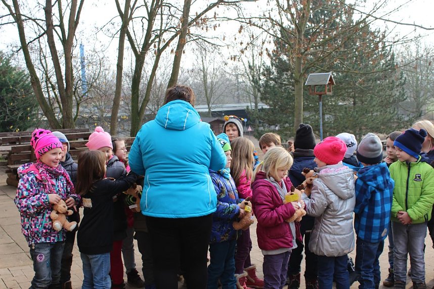 Sterne der Weihnacht