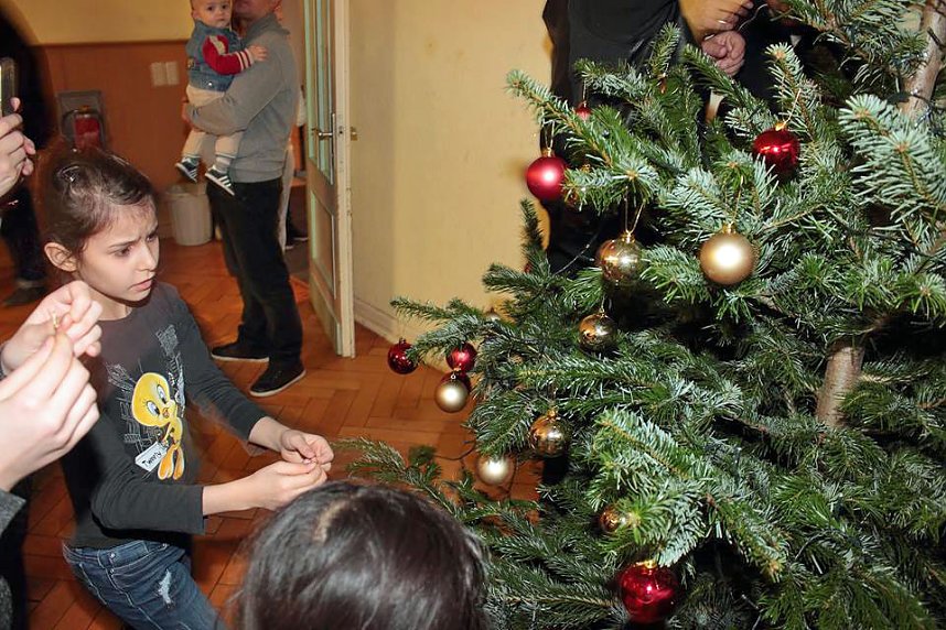 Nicht nur Weihnachtsbaum gesammelt