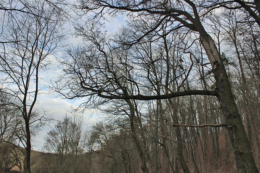 Br&uuml;ckental von Sondershausen meiden