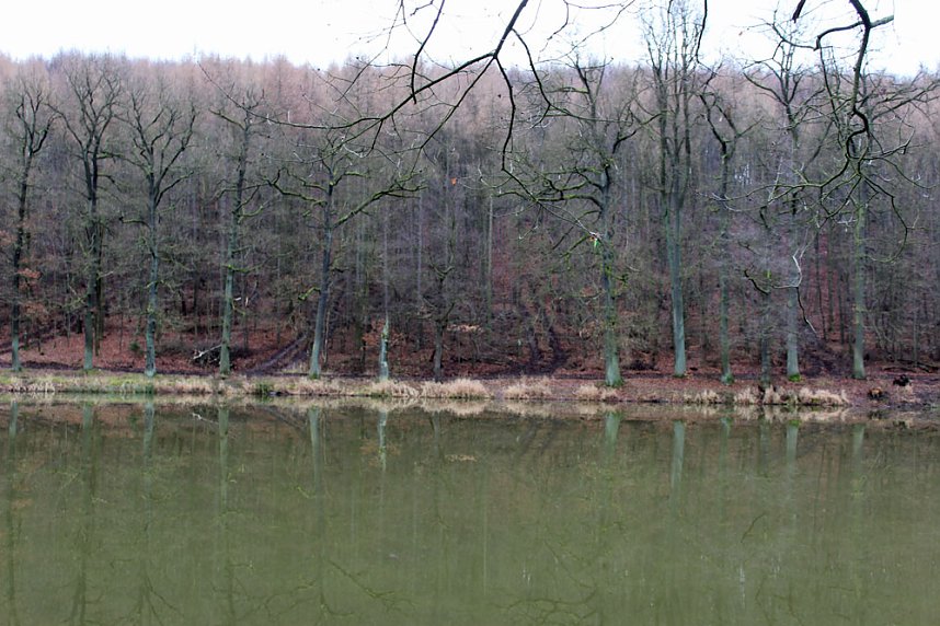 Br&uuml;ckental von Sondershausen meiden