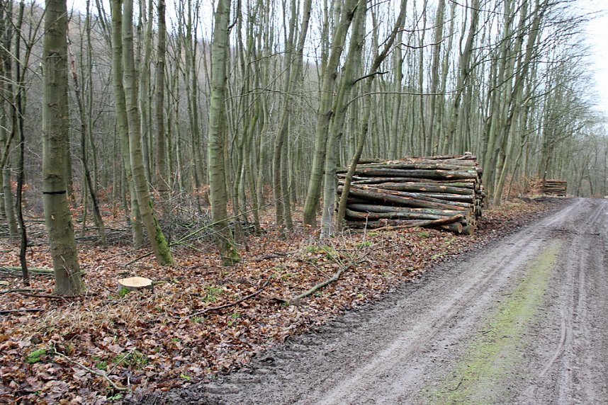 Br&uuml;ckental von Sondershausen meiden