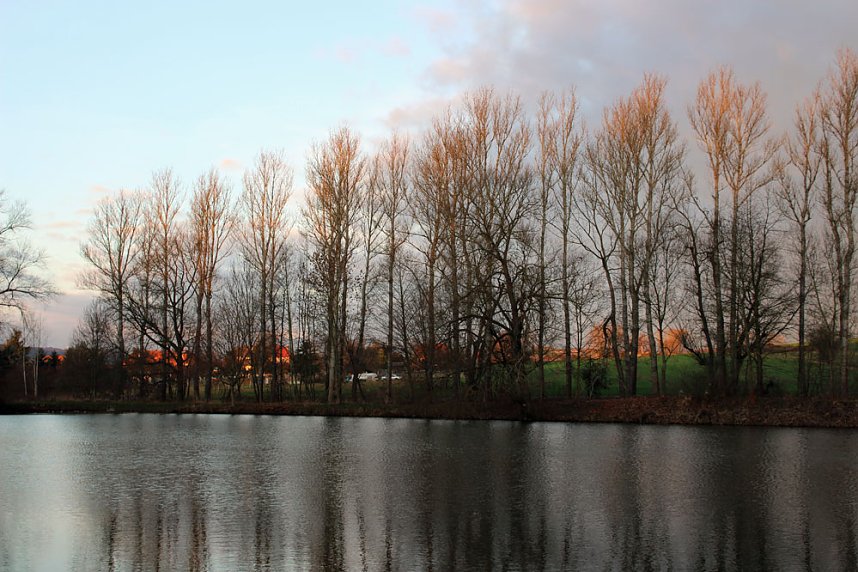 Kahlschlag um und hinterm Hammateich?