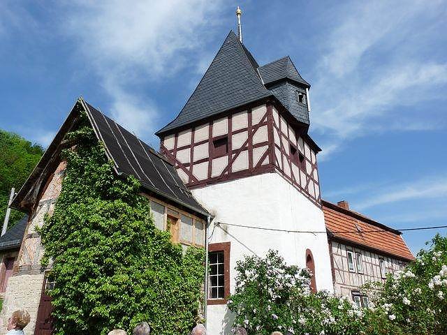 Orchideenfest G&uuml;nserode