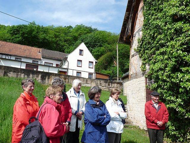 Orchideenfest G&uuml;nserode