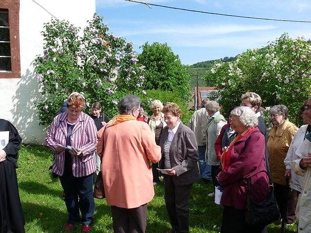 Orchideenfest G&uuml;nserode