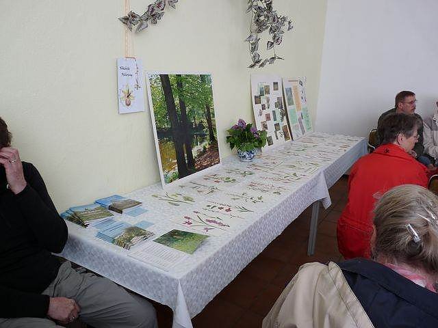 Orchideenfest G&uuml;nserode