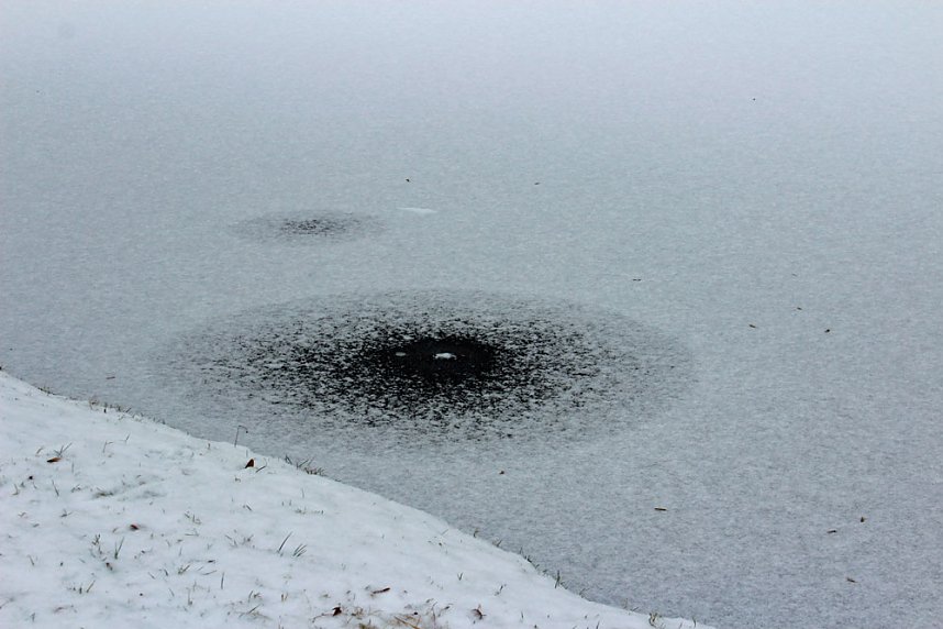 Gef&auml;hrlicher Leichtsinn auf Parkteich