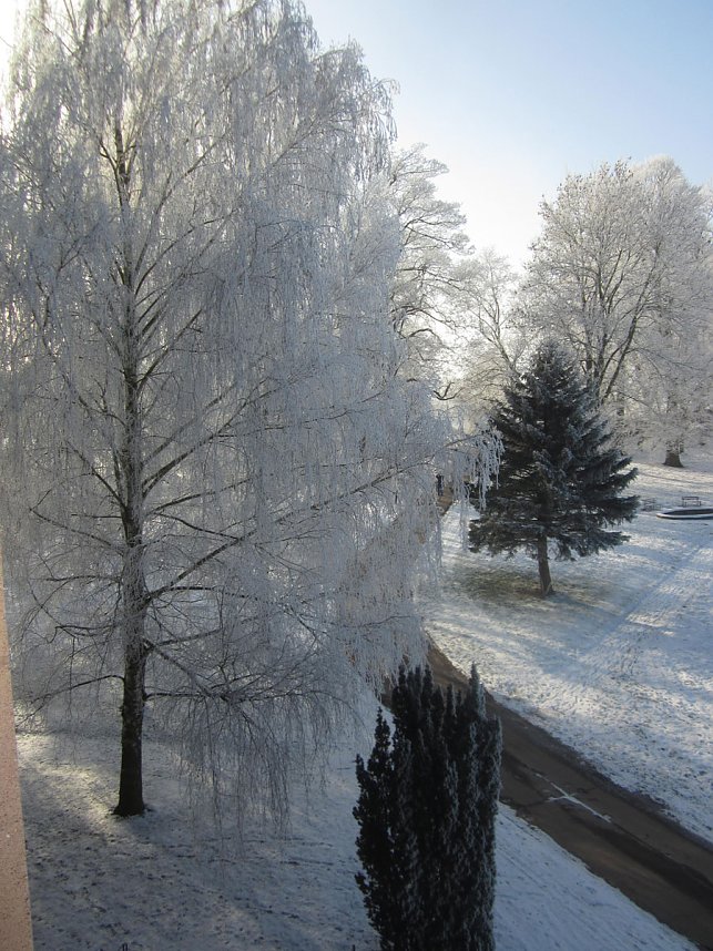 AWO Seniorenpark Am Schlosspark 