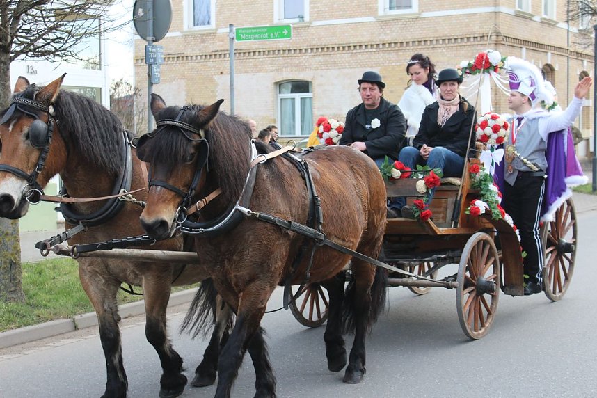 Gut besuchter Rosensonntagsumzug