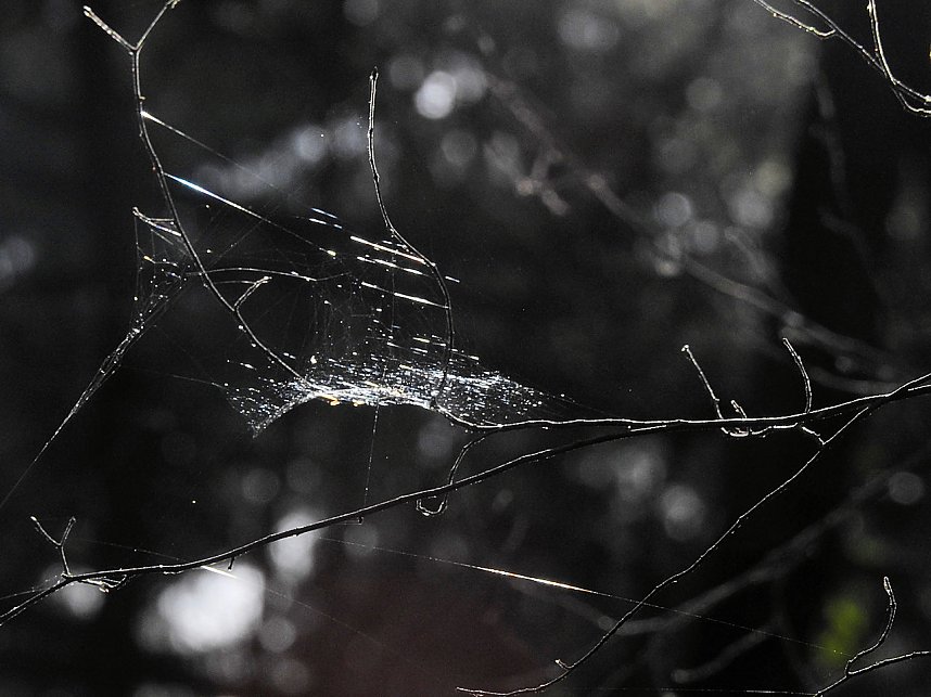 Peter Blei zu Besuch auf Schloss Oranienbaum