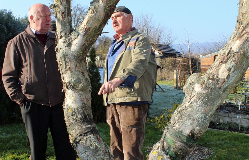 Nicht nur auf Schnitt hingewiesen