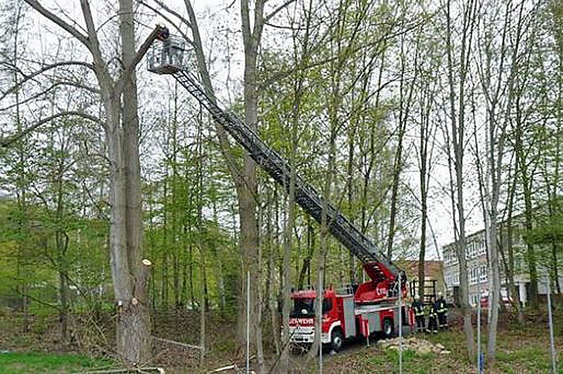 Alles im Lot mit der Drehleiter?