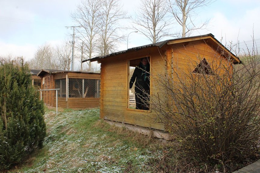 Katastrophaler Zustand und viel Arbeit