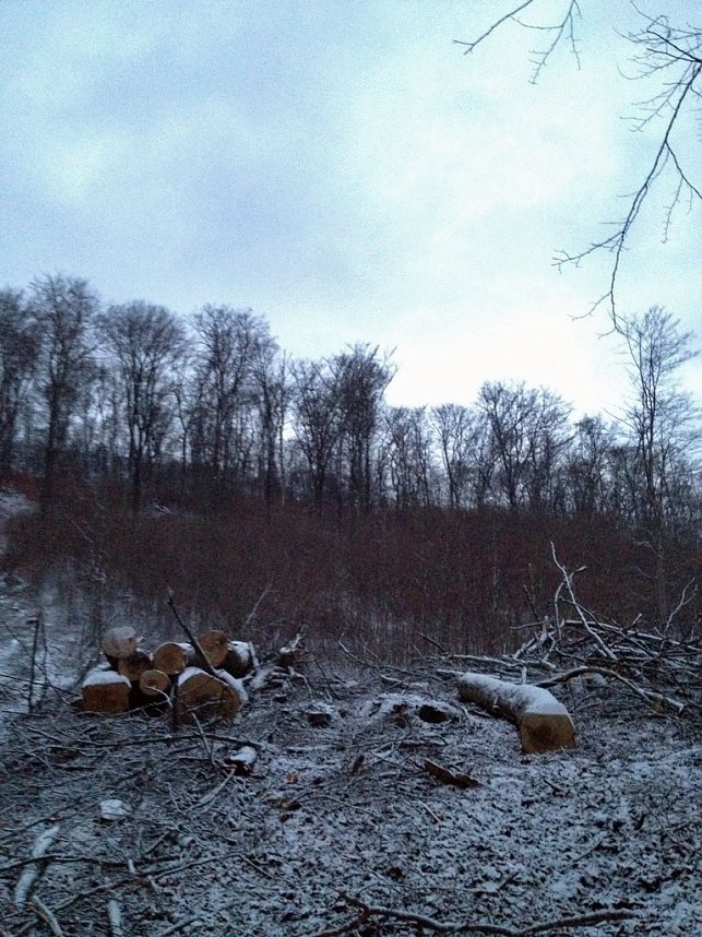 Probleme bei den Wanderwegen?