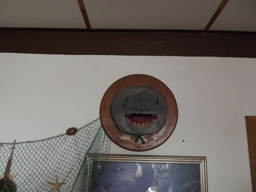 Beim singenden Fischkoch in Vehra