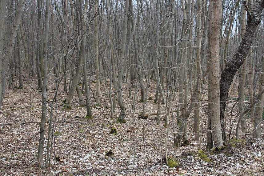 B&uuml;rgerinitiative mit Staatssekret&auml;r unterwegs