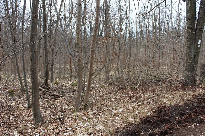 B&uuml;rgerinitiative mit Staatssekret&auml;r unterwegs