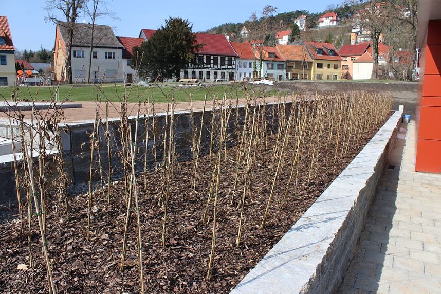 Massenandrang im Kurpark Bad Frankenhausen