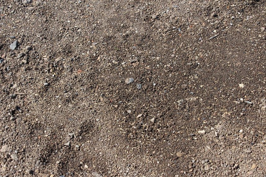 Massenandrang im Kurpark Bad Frankenhausen