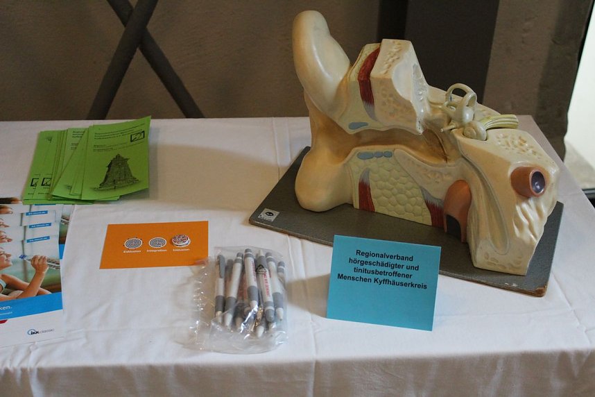 Massenandrang zum 2.Gesundheitstag