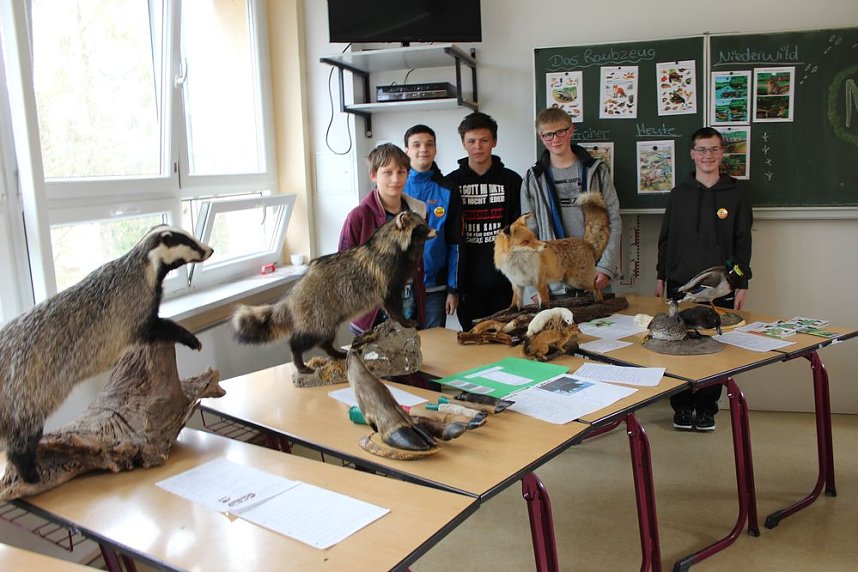 Ein gro&szlig;artiges Schulfest