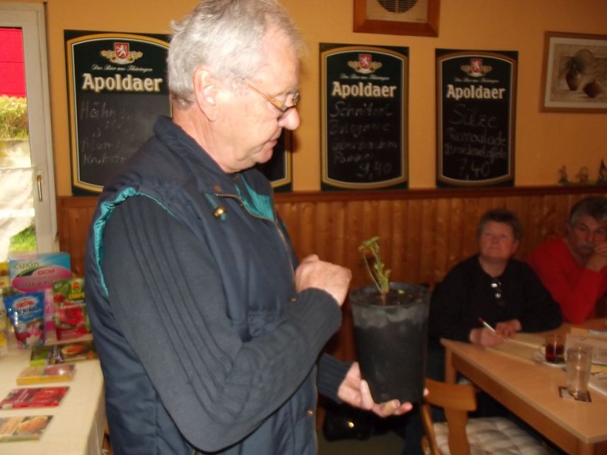 Interessante Rosenseminare mit Bernd Schlichting