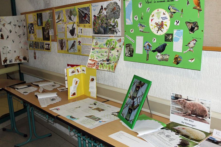 Ausstellung Tiere am und im Garten er&ouml;ffnet