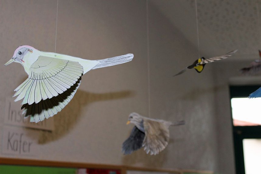 Ausstellung Tiere am und im Garten er&ouml;ffnet