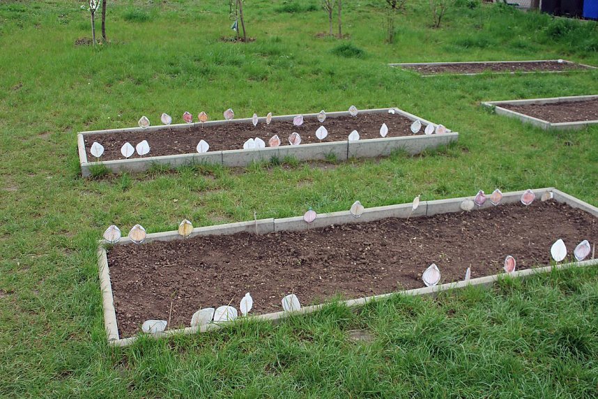 Ausstellung Tiere am und im Garten er&ouml;ffnet