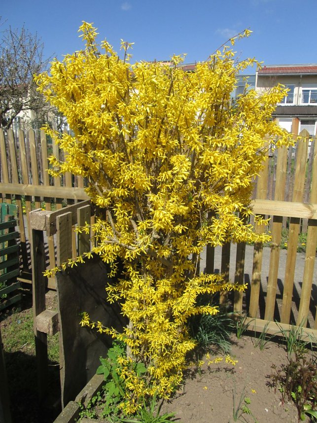Neue Gartensaison ist er&ouml;ffnet