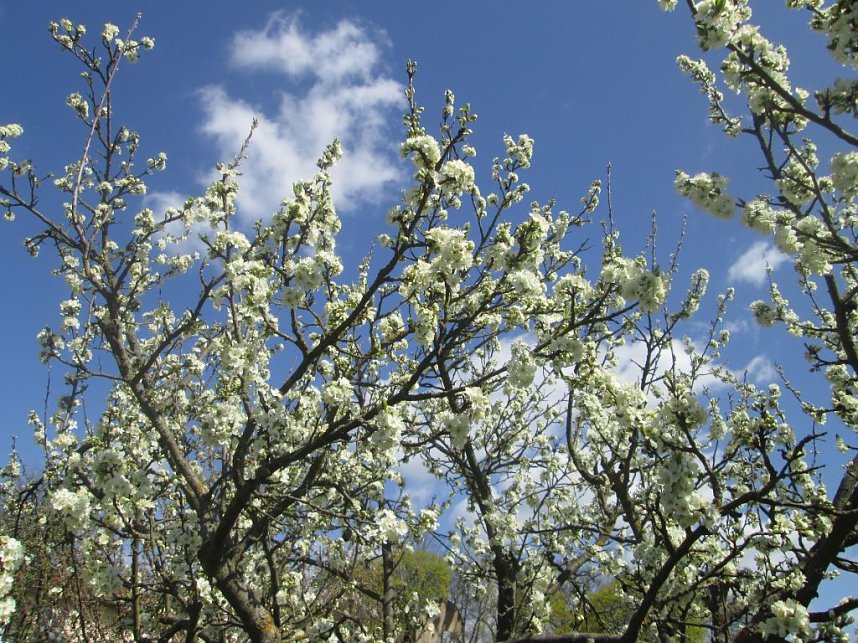 Neue Gartensaison ist er&ouml;ffnet