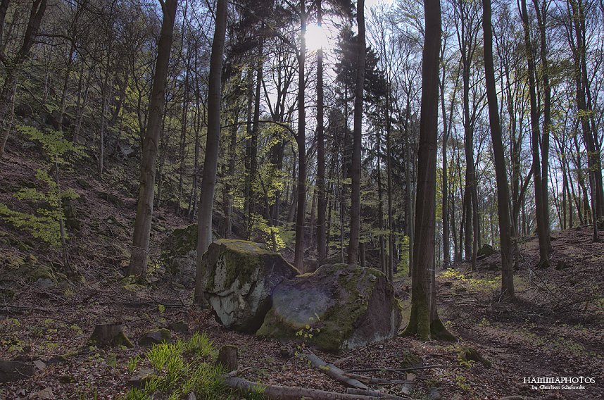 Die Felsen Tour im S&uuml;dharz