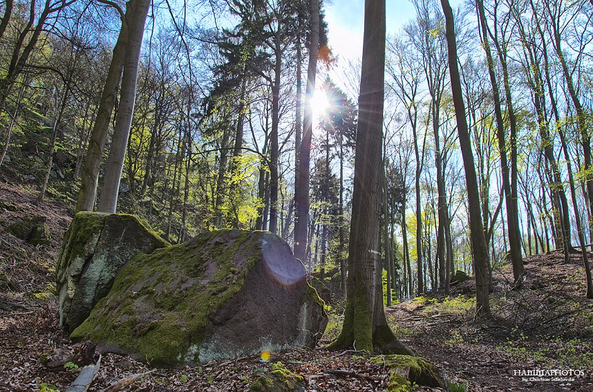 Die Felsen Tour im S&uuml;dharz