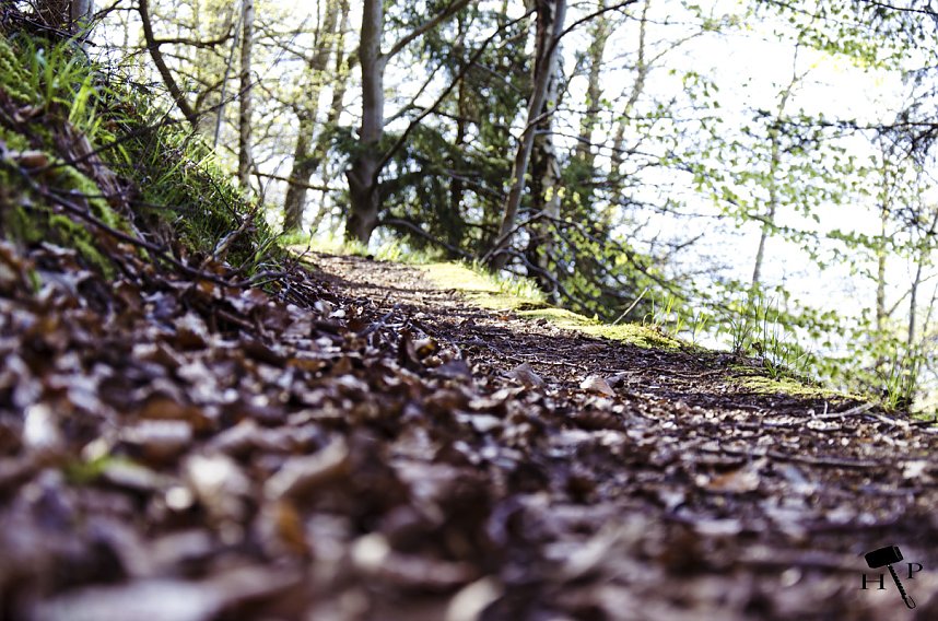 Die Felsen Tour im S&uuml;dharz