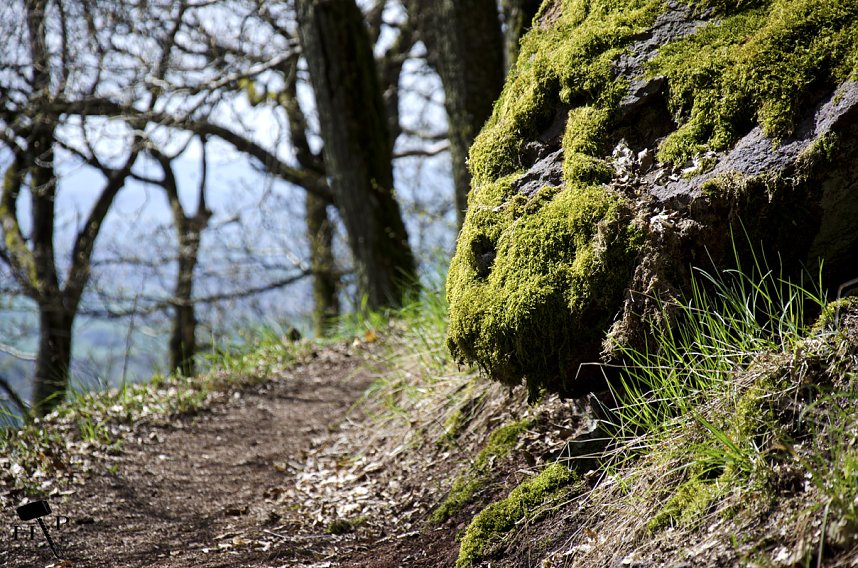 Die Felsen Tour im S&uuml;dharz