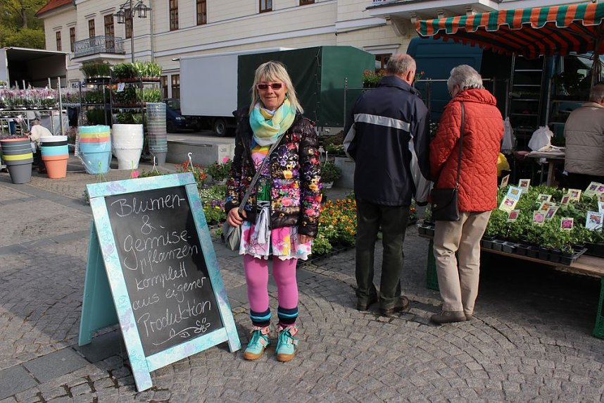 Pflanzenmarkt gut besucht