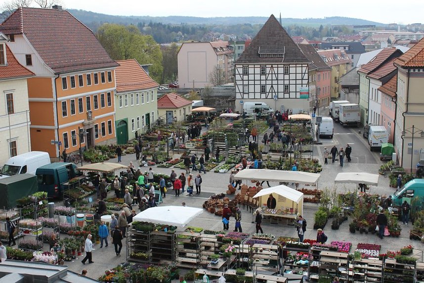 Pflanzenmarkt gut besucht