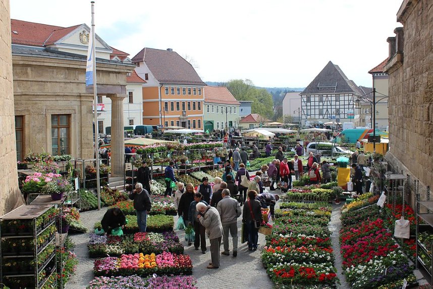 Pflanzenmarkt gut besucht