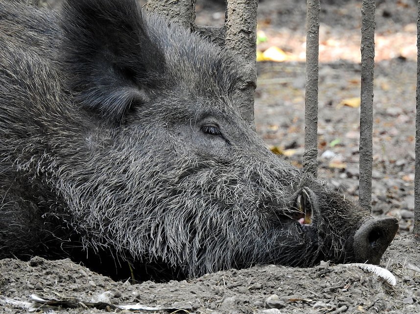 Peter Blei unterwegs in K&ouml;then