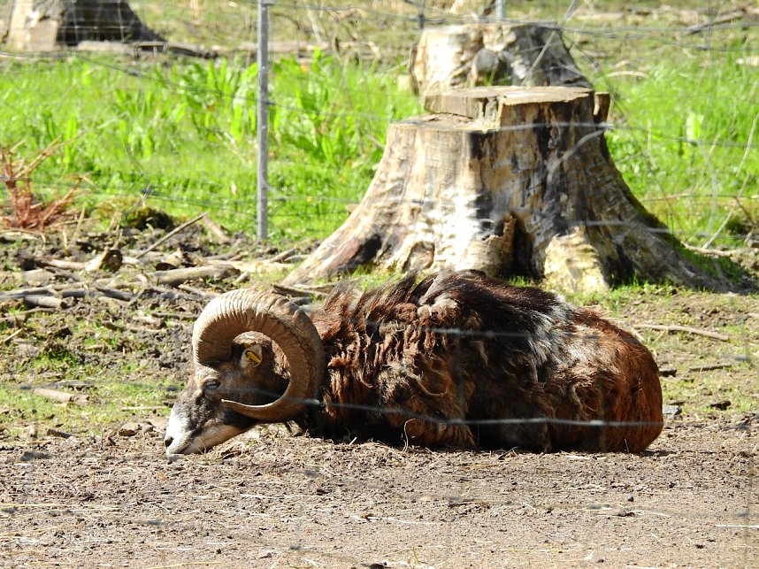 Peter Blei unterwegs in K&ouml;then