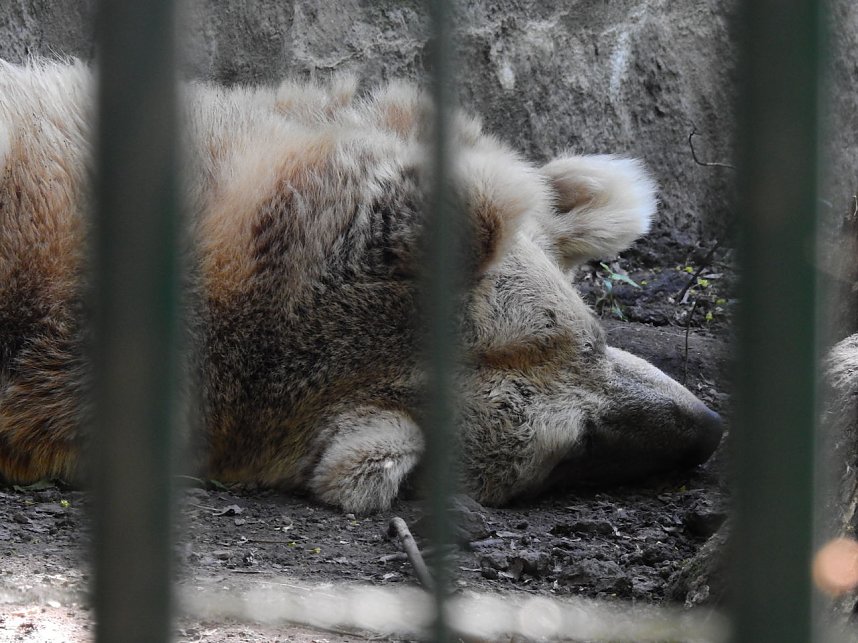 Peter Blei unterwegs in K&ouml;then